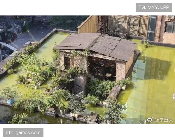 崔家溪这生活画风也太反差，他家后院估计比我住的小区还大吧？