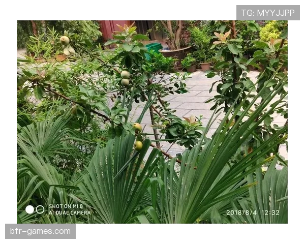 刷到莱万多夫斯基出门随手拎的那只包，我的午饭预算立刻瘫掉